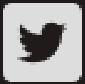 Twitter icon