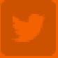 Twitter Icon