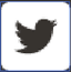 White Twitter icon